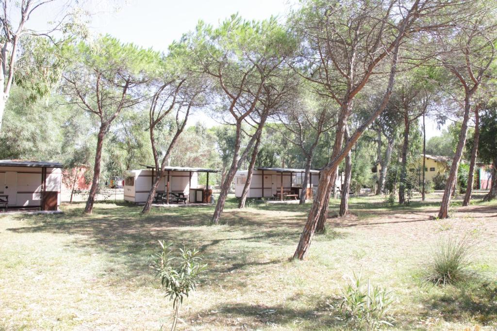 Camping Golfo Dell'Asinara Platamona Cameră foto